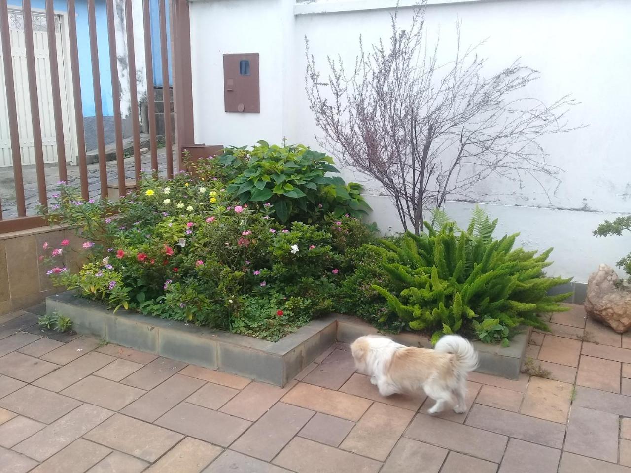 Casa Espetacular No Centro De Diamantina Bed & Breakfast Exterior photo